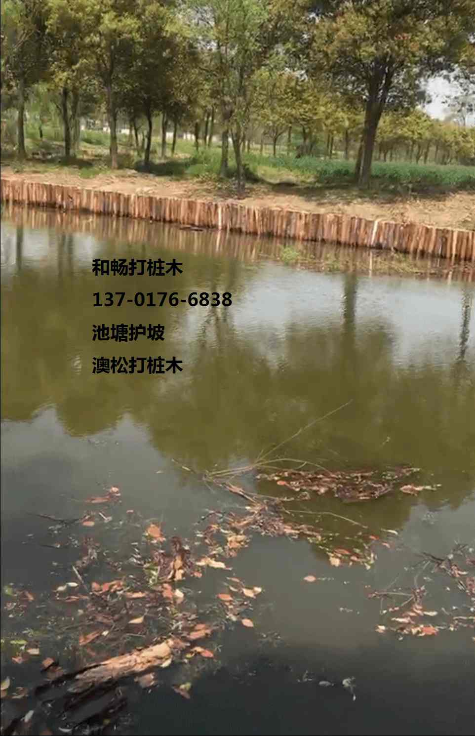案例: 图片_松木桩池塘围栏护坡